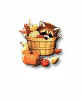 raccoon in basket sig.jpg (10383 bytes)